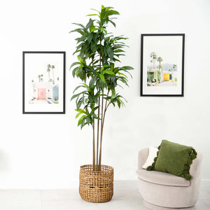 10’ Artificial Dracaena Tree with Real Touch Leaves