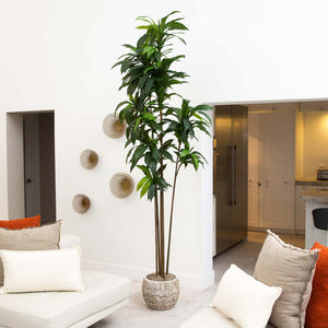 10’ Artificial Dracaena Tree with Real Touch Leaves