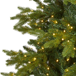 10’ Belgium Fir “Natural Look” Artificial Christmas Tree with 1050 Clear LED Lights