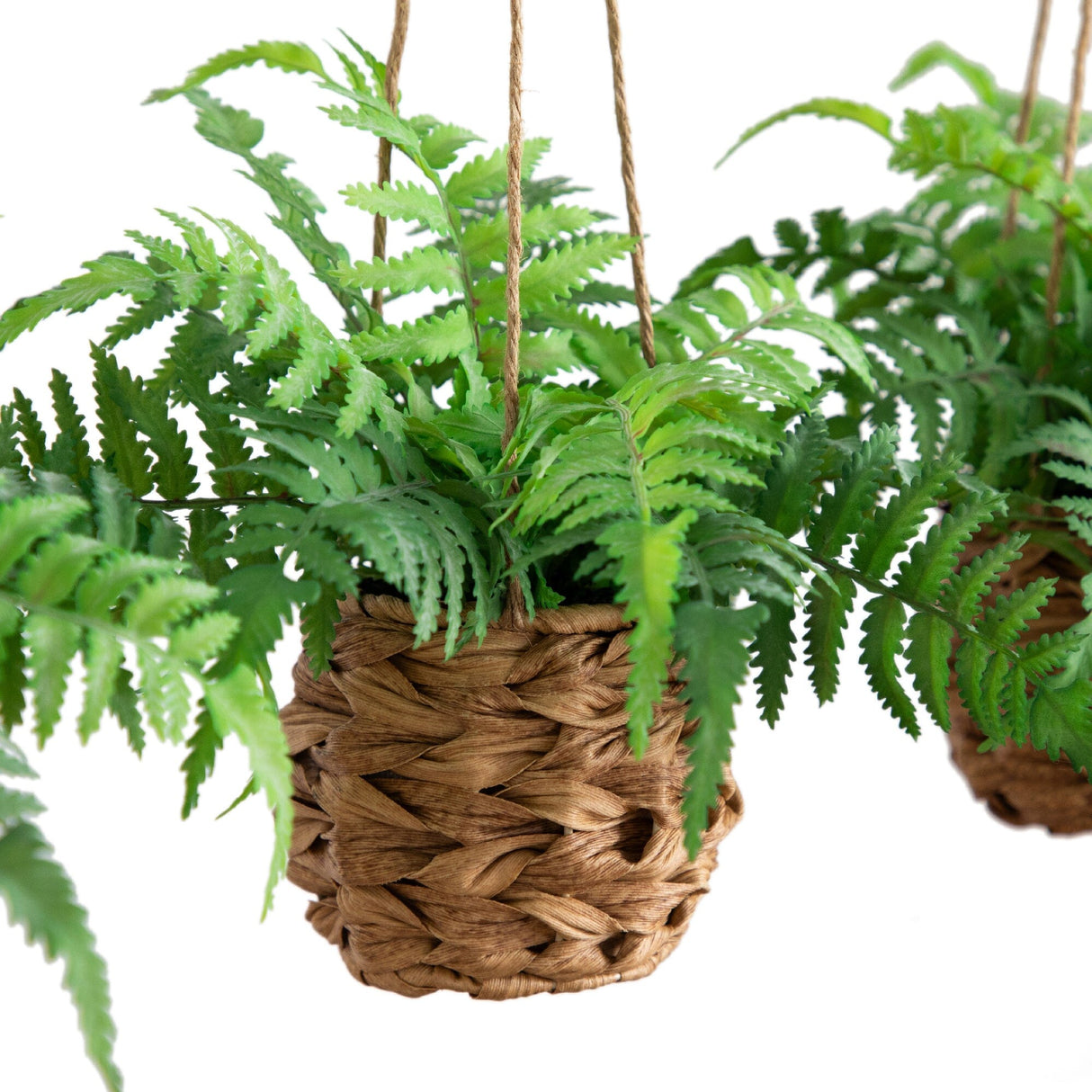 10” UV Resistant Artificial Boston Fern in Hanging Wicker Basket (Indoor/Outdoor) - Set of 3