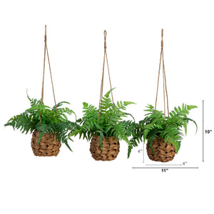 10” UV Resistant Artificial Boston Fern in Hanging Wicker Basket (Indoor/Outdoor) - Set of 3