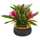 11” Bromeliad Artificial Plant in Stoneware Planter