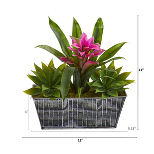 11” Bromeliad and Agave Plant in Black Tin Planter