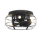 12" Flush Mount Low Profile Caged Small Ceiling Fan with Light and Remote Control