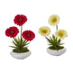 12” Gerber and Succulent Arrangement in Vase (Set of 2)