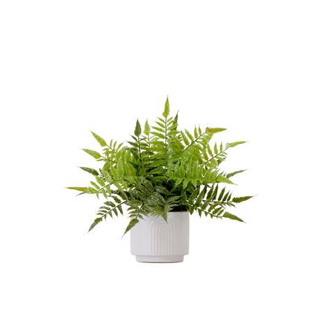 13" Artificial Boston Fern Plant with Decorative Planter