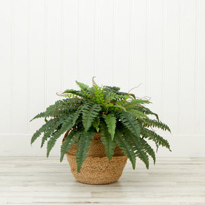 23” Artificial Boston Fern Plant with Handmade Jute & Cotton Basket DIY KIT