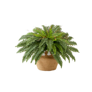 23”Artificial Boston Fern Plant in Handmade Jute & Cotton Basket with Tassels DIY KIT