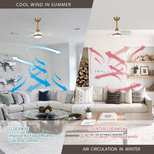 28" Modern DC Motor Downrod Mount Reversible Ceiling Fan with LED Lighting and Remote Control