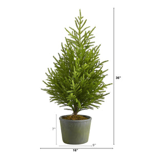 3’ Norfolk Island Pine “Natural Look” Artificial Christmas Tree in Decorative Planter