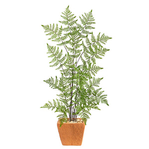 3’ Ruffle Fern Artificial Tree in Terra-Cotta Planter