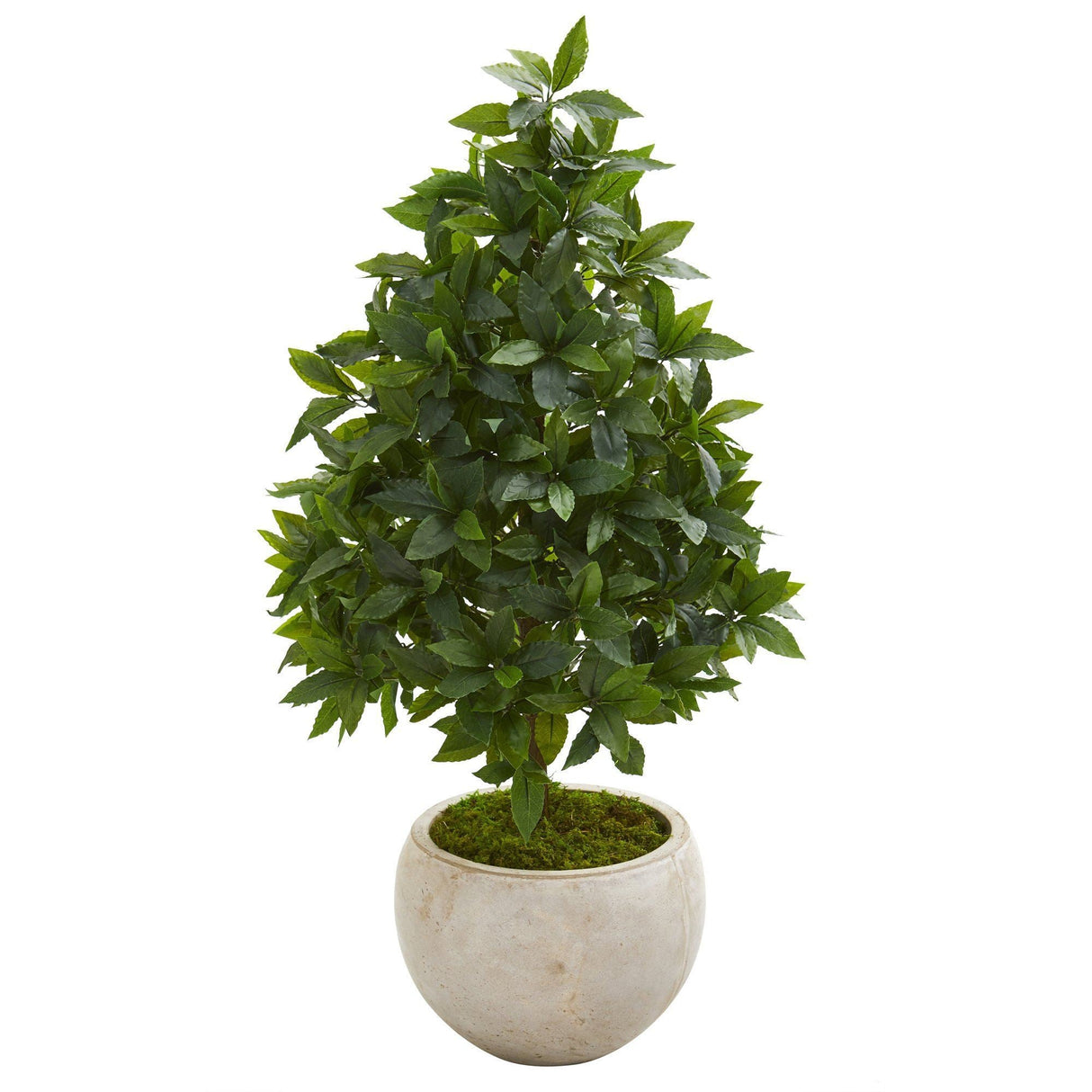 33” Sweet Bay Cone Topiary Artificial Tree in Sand Colored Planter