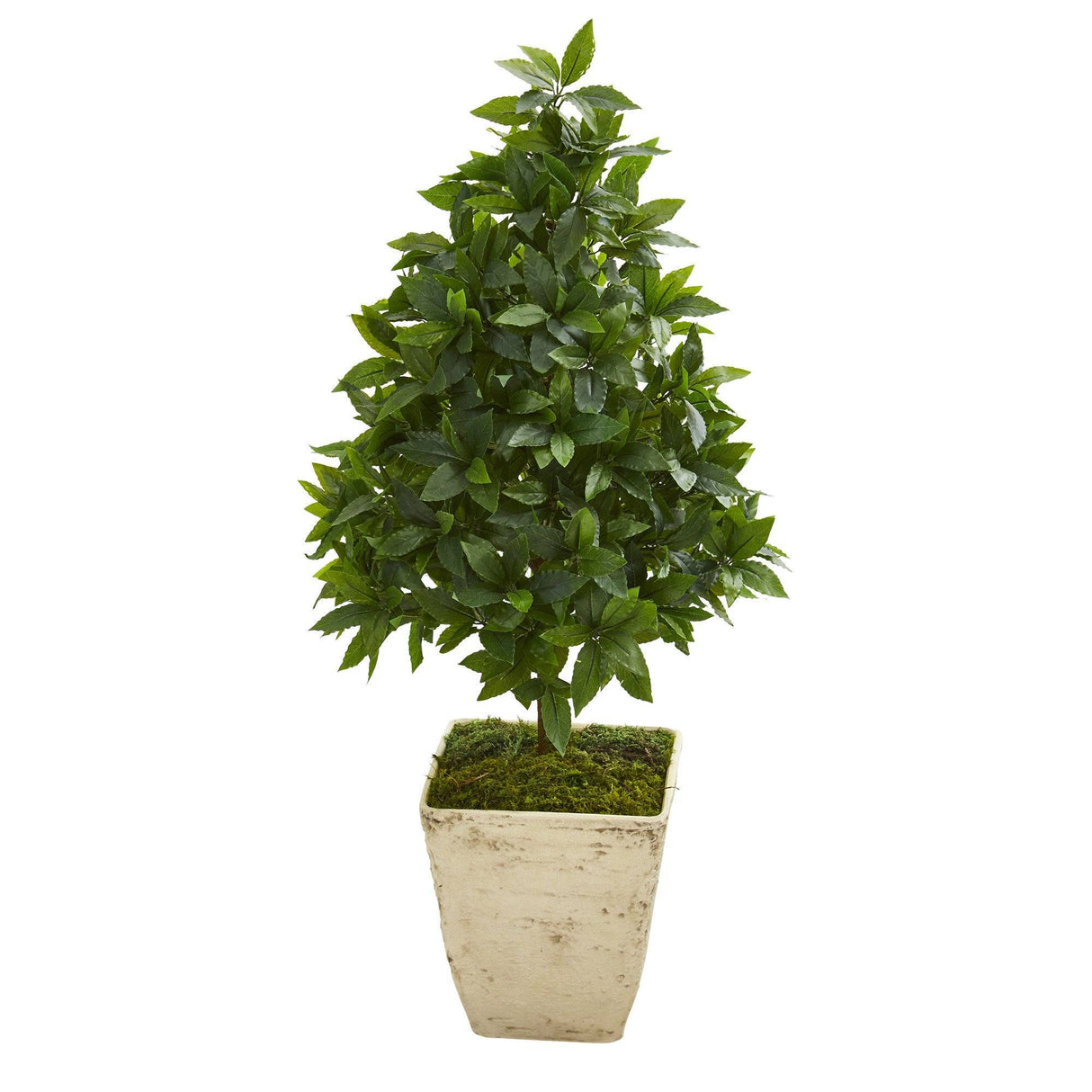 34” Sweet Bay Cone Topiary Artificial Tree in Country White Planter