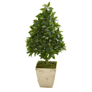 34” Sweet Bay Cone Topiary Artificial Tree in Country White Planter