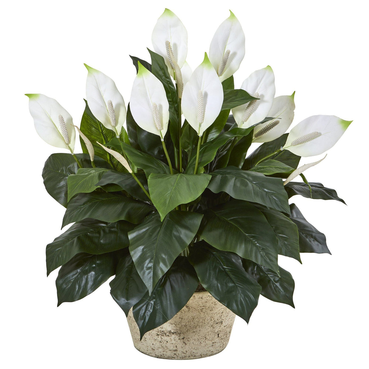 35” Spathifyllum Artificial Plant in White Planter