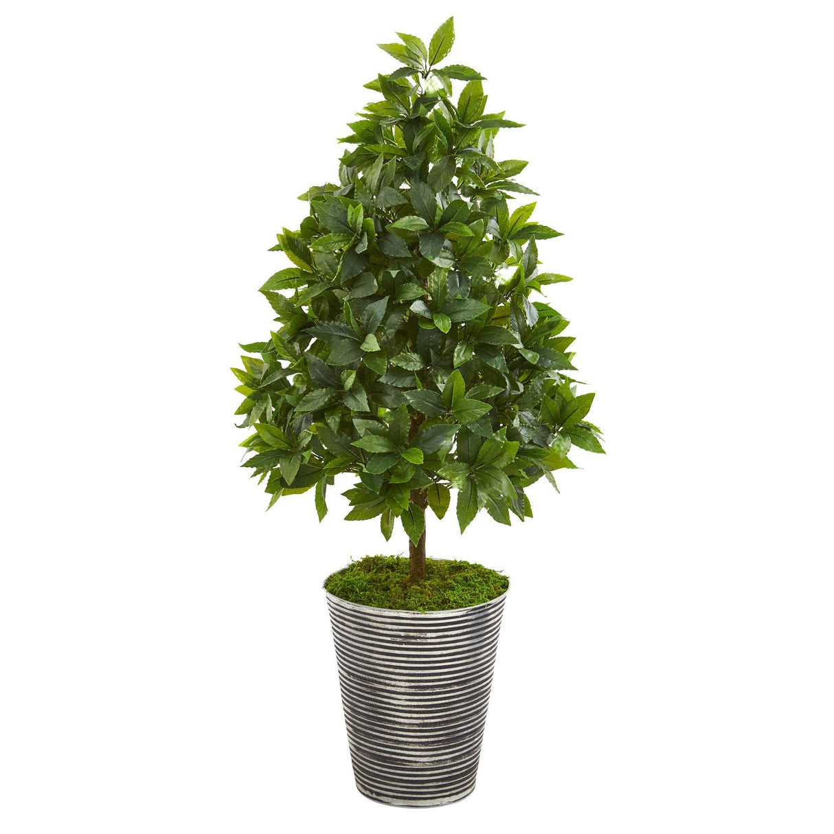 35” Sweet Bay Cone Topiary Artificial Tree in Tin Planter
