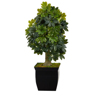 39” Schefflera Artificial Tree in Black Metal Planter (Real Touch)