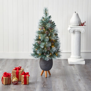 3.5’ Frosted Tip British Columbia Mountain Pine Artificial Christmas Tree