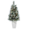 3.5’ Frosted Tip British Columbia Mountain Pine Artificial Christmas Tree with 50 Clear Lights, Pine Cones and 112 Bendable Branches in Metal Planter