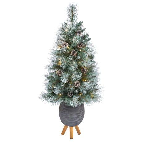 3.5’ Frosted Tip British Columbia Mountain Pine Artificial Christmas Tree