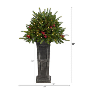 4' Holiday Christmas Tree Plant Pre-Lit and Glittered on Pedestal with 150 Multicolored LED lights