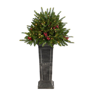 4' Holiday Christmas Tree Plant Pre-Lit and Glittered on Pedestal with 150 Multicolored LED lights