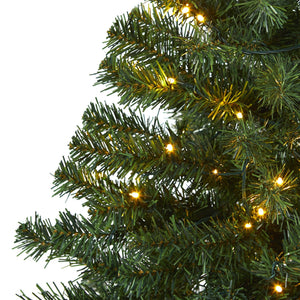 4' Northern Tip Pine Artificial Christmas Tree with 100 Clear LED Lights