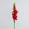 45" Artificial Gladiolus Flower Stems - Set of 3