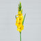 45" Artificial Gladiolus Flower Stems - Set of 3