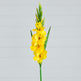 45" Artificial Gladiolus Flower Stems - Set of 3