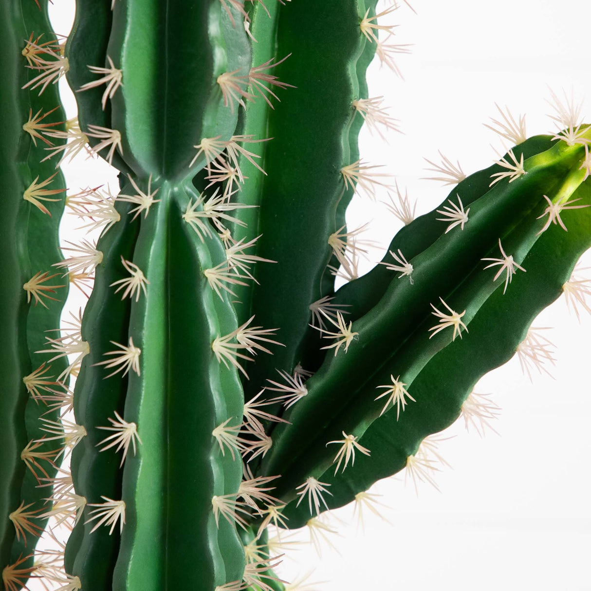 5’ Artificial Cactus in Terracotta Planter