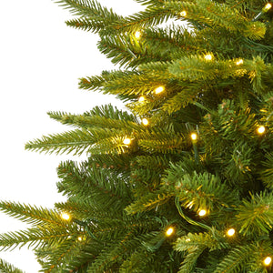 5’ Colorado Mountain Fir “Natural Look” Artificial Christmas Tree with 250 Clear LED Lights