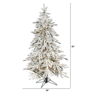 5' Flocked Grand Northern Rocky Fir Artificial Christmas Tree