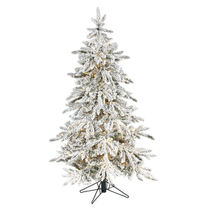 5' Flocked Grand Northern Rocky Fir Artificial Christmas Tree