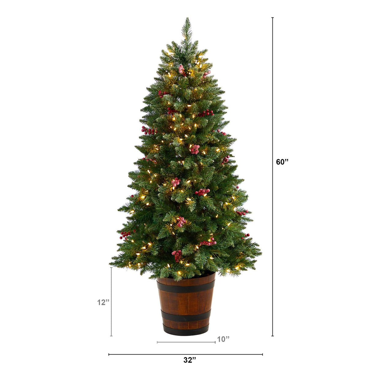 5' Frosted Colorado Aspen Pre-Lit Porch Artificial Christmas Tree