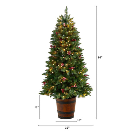 5' Frosted Colorado Aspen Pre-Lit Porch Artificial Christmas Tree