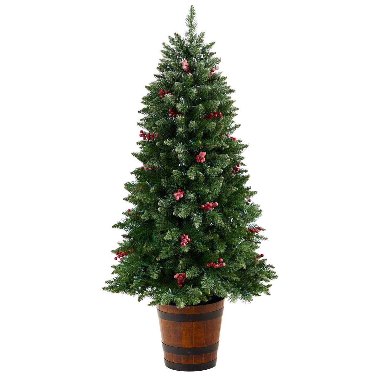 5' Frosted Colorado Aspen Pre-Lit Porch Artificial Christmas Tree