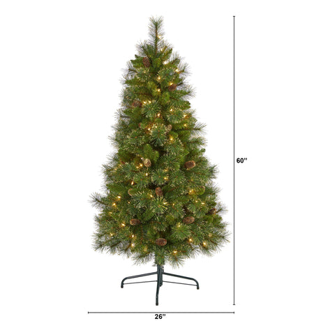 5’ Golden Tip Washington Pine Artificial Christmas Tree with 150 Clear Lights, Pine Cones and 432 Bendable Branches