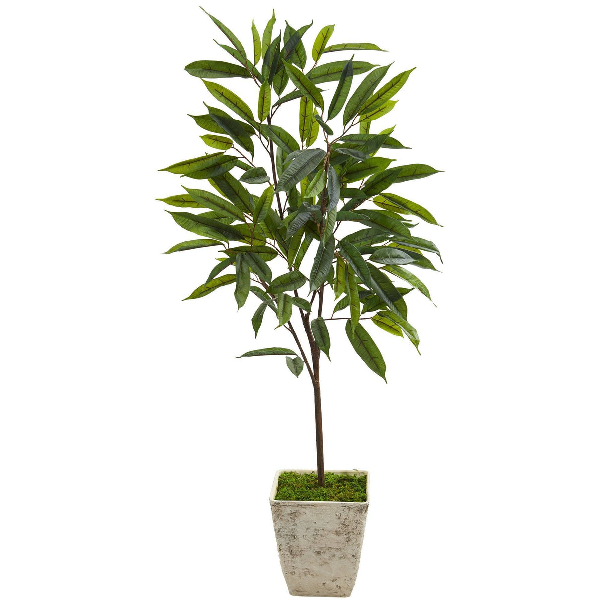 50” Ficus Artificial Plant in Country White Planter