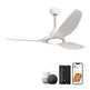 52" DC Motor 3 Blades Modern Downrod Mount Smart Fan with LED Light
