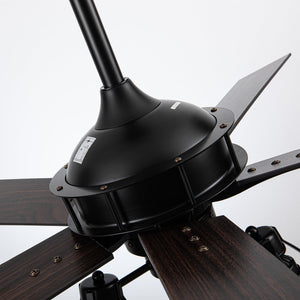 52" Kashmir Traditional Downrod Mount Reversible Ceiling Fan with Lighting and Remote Control