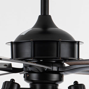 52" Kashmir Traditional Downrod Mount Reversible Ceiling Fan with Lighting and Remote Control