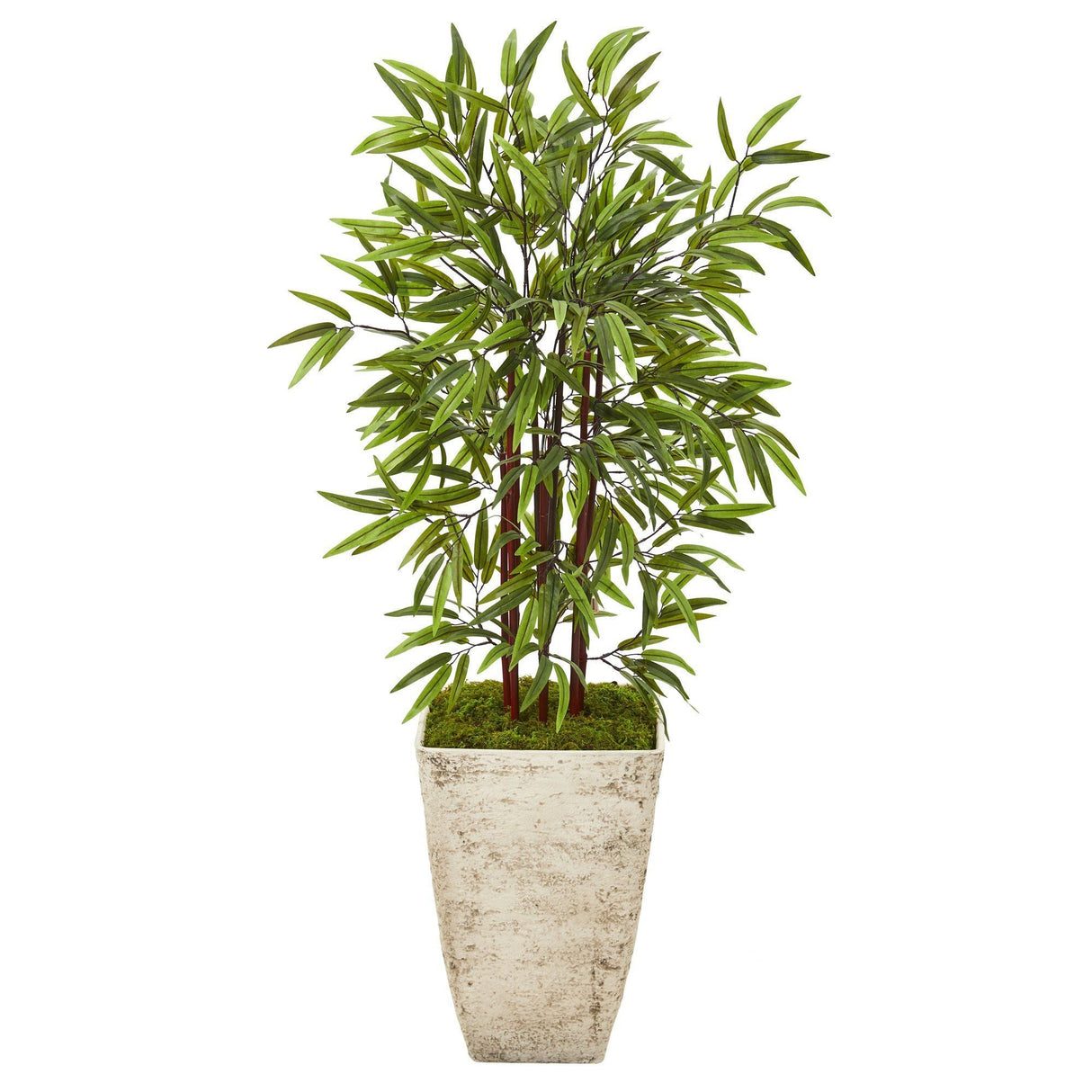 53” Bamboo Artificial Tree in Country White Planter
