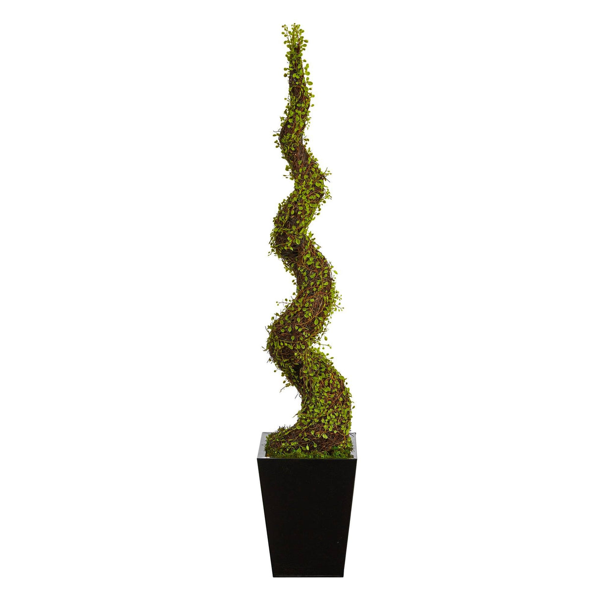 55” Mohlenbechia Spiral Artificial Tree in Black Metal Planter