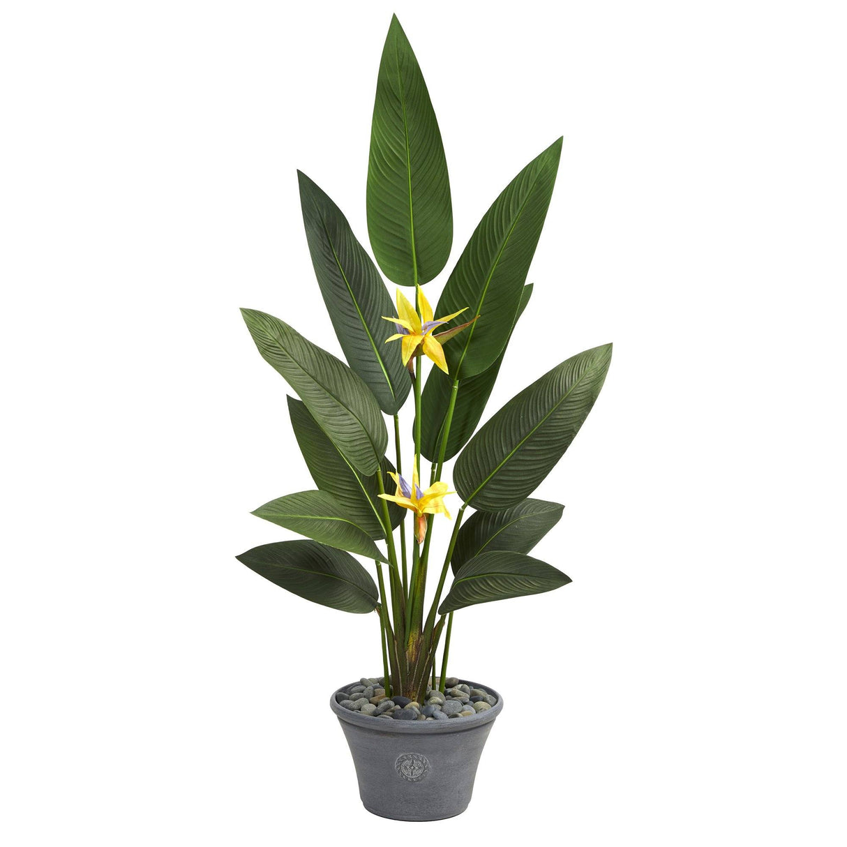58” Bird of Paradise Artificial Plant in Gray Planter (Real Touch)