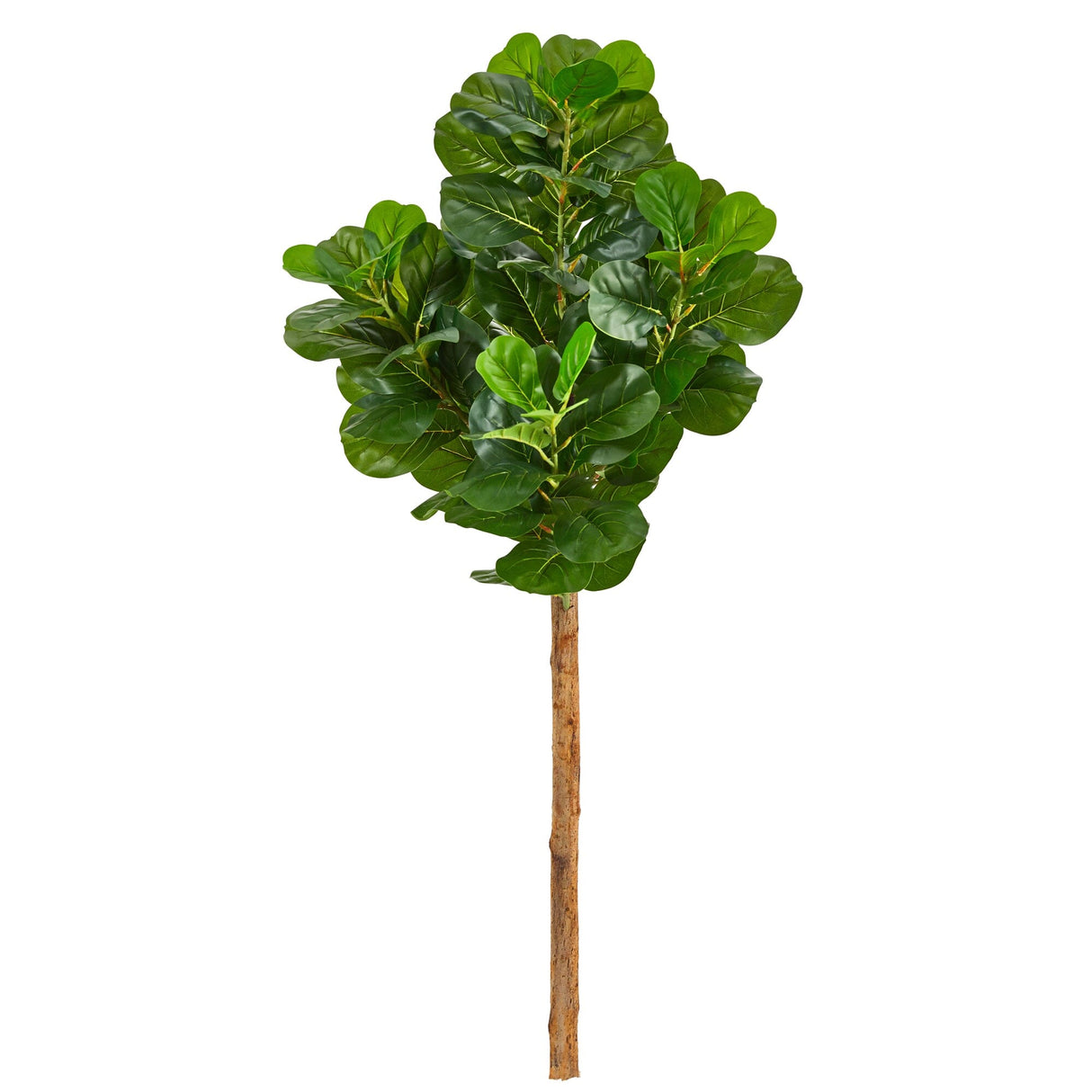 5.5’ Artificial Fiddle Leaf Tree (No Pot)