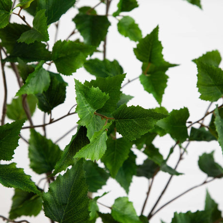 6’ Artificial Birch Tree with Real Touch Leaves