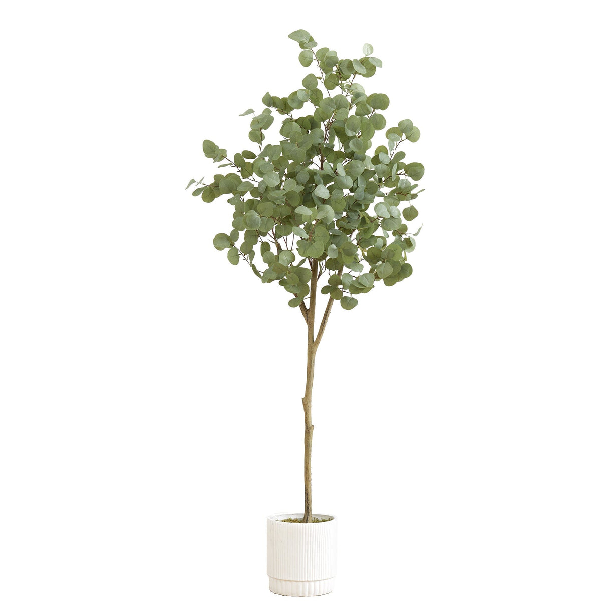 6’ Artificial Eucalyptus Tree with White Decorative Planter