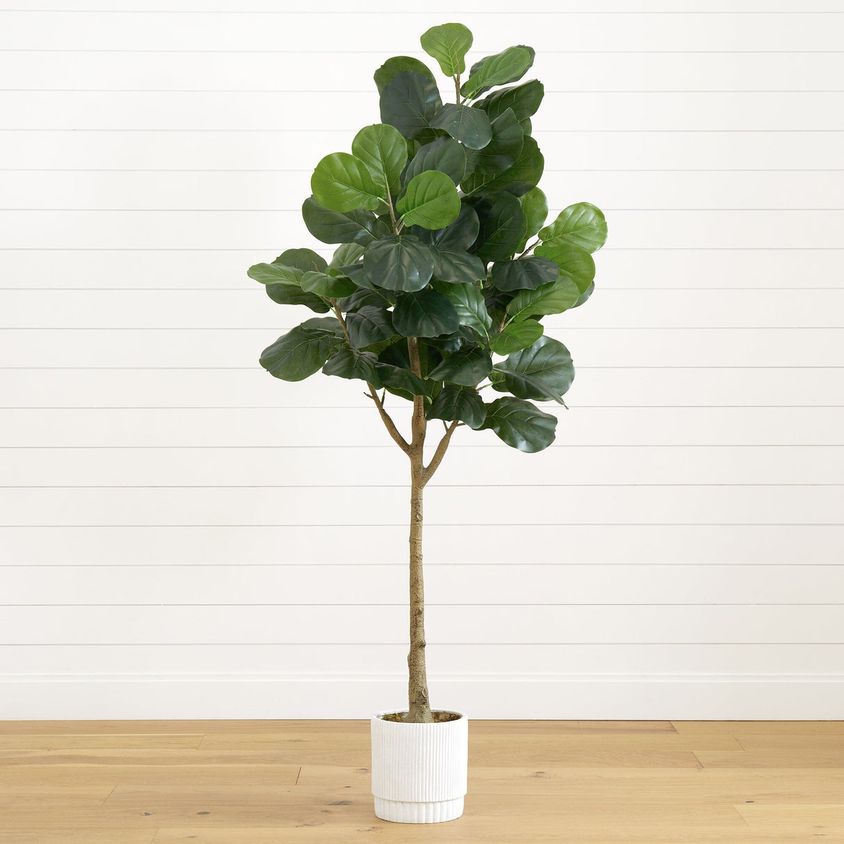 6’ Artificial Fiddle Leaf Fig Tree with White Decorative Planter