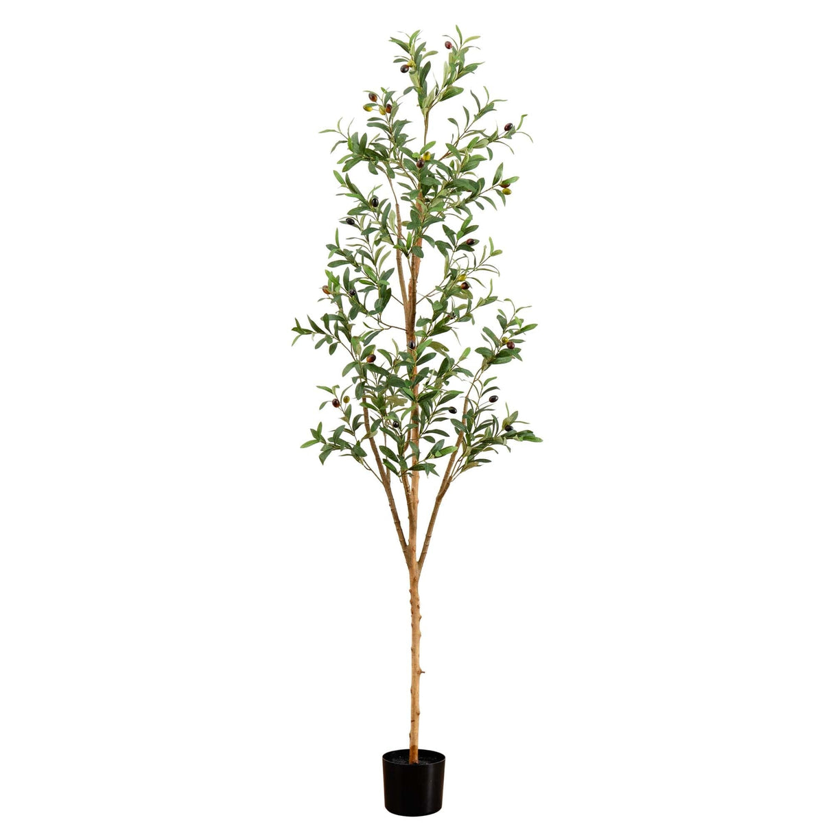 6’ Artificial Olive Tree with Natural Trunk